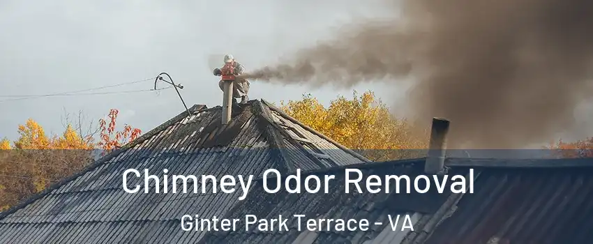 Chimney Odor Removal Ginter Park Terrace - VA