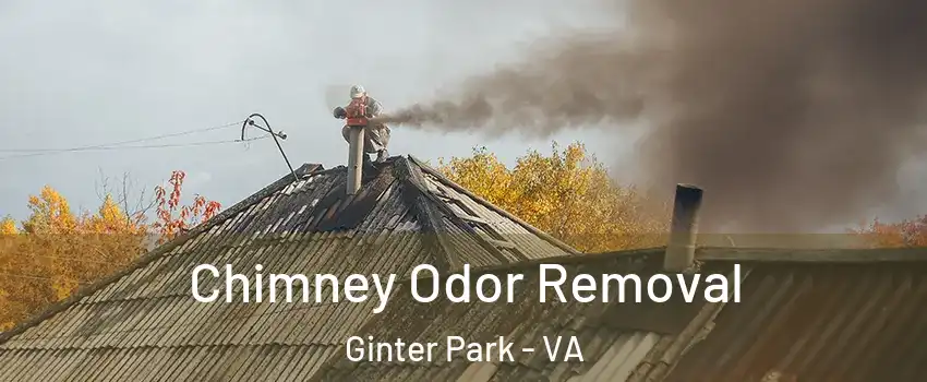 Chimney Odor Removal Ginter Park - VA