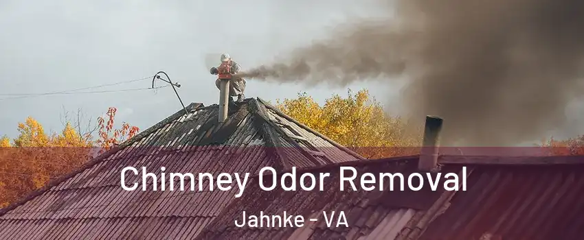 Chimney Odor Removal Jahnke - VA