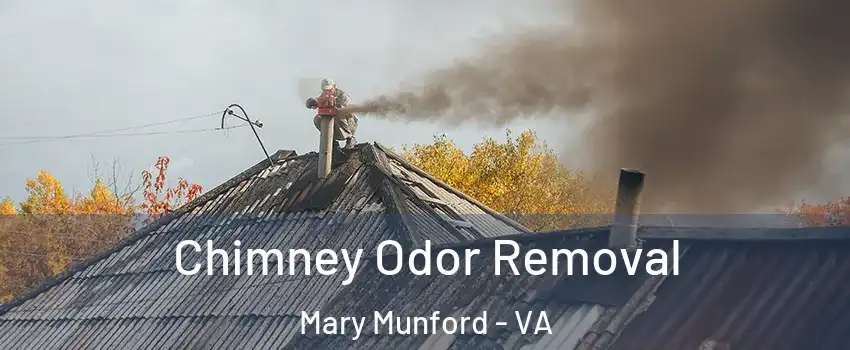 Chimney Odor Removal Mary Munford - VA