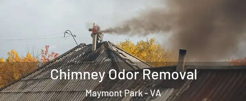 Chimney Odor Removal Maymont Park - VA