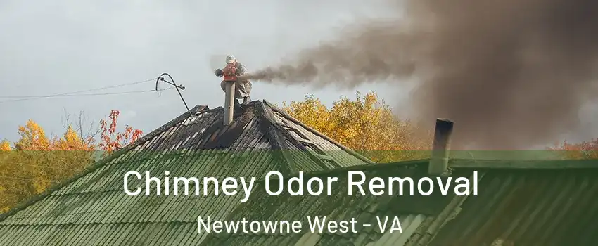 Chimney Odor Removal Newtowne West - VA