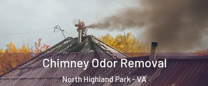 Chimney Odor Removal North Highland Park - VA