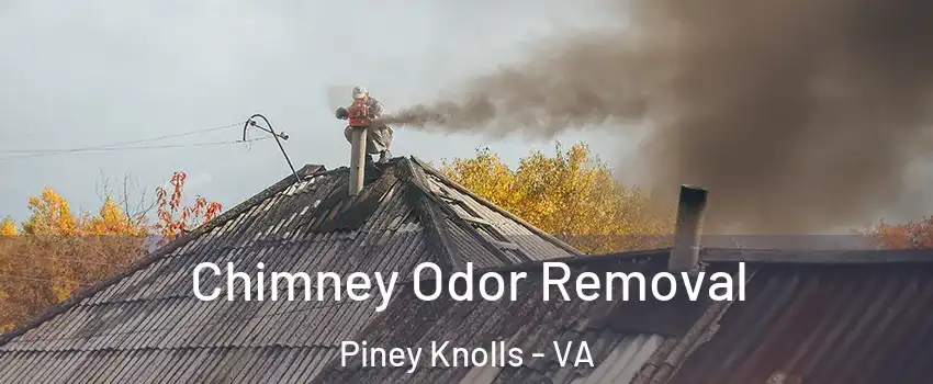 Chimney Odor Removal Piney Knolls - VA