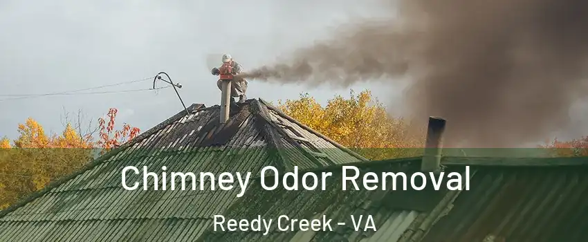 Chimney Odor Removal Reedy Creek - VA