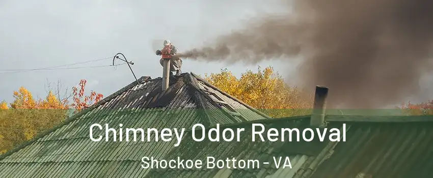 Chimney Odor Removal Shockoe Bottom - VA