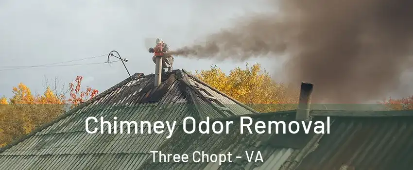 Chimney Odor Removal Three Chopt - VA