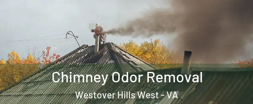 Chimney Odor Removal Westover Hills West - VA