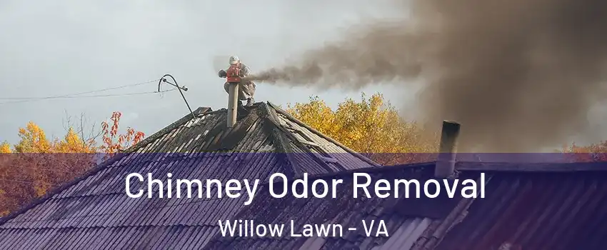 Chimney Odor Removal Willow Lawn - VA