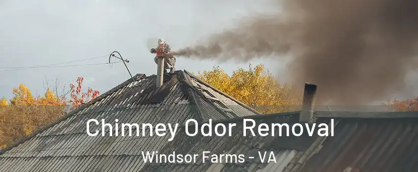 Chimney Odor Removal Windsor Farms - VA