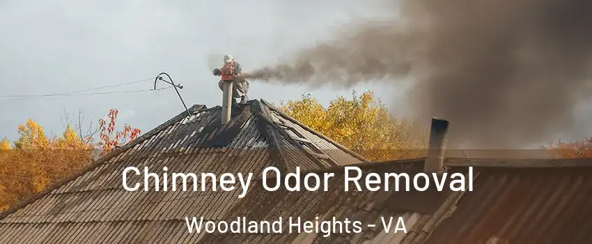 Chimney Odor Removal Woodland Heights - VA