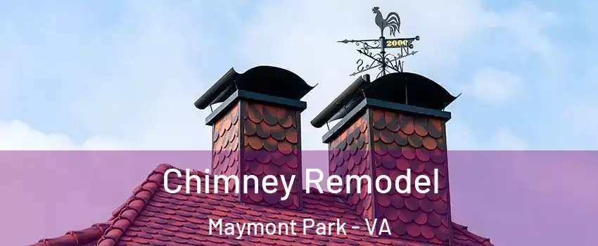 Chimney Remodel Maymont Park - VA