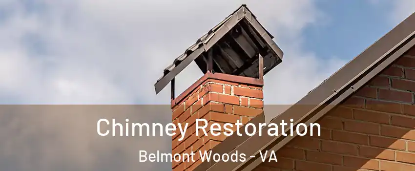 Chimney Restoration Belmont Woods - VA