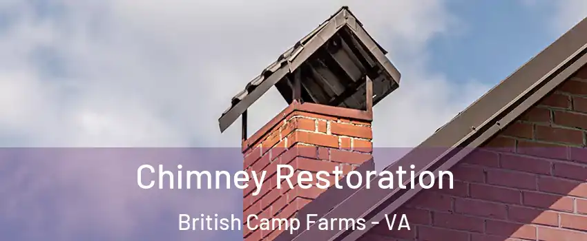 Chimney Restoration British Camp Farms - VA