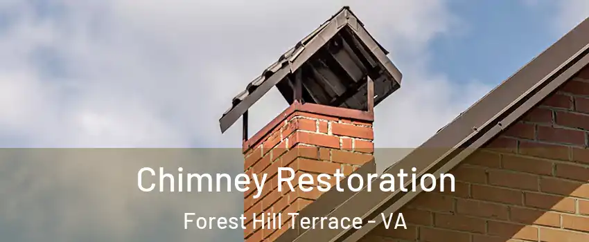 Chimney Restoration Forest Hill Terrace - VA