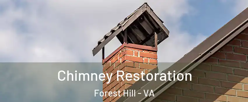 Chimney Restoration Forest Hill - VA