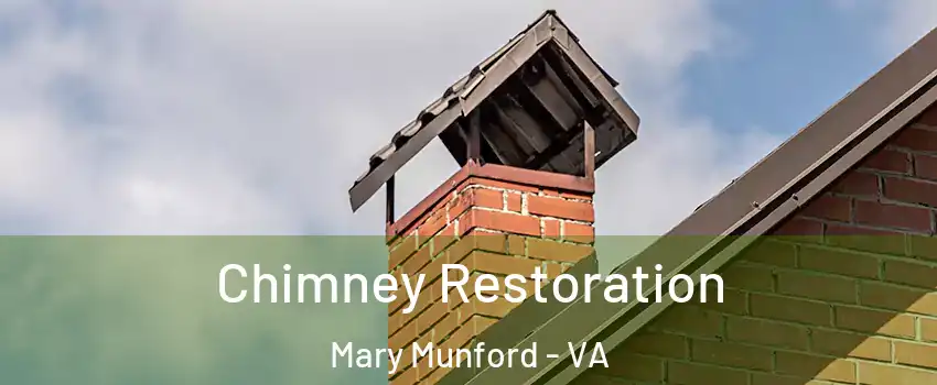 Chimney Restoration Mary Munford - VA