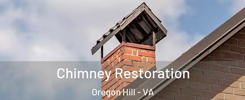 Chimney Restoration Oregon Hill - VA