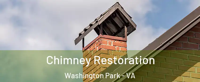 Chimney Restoration Washington Park - VA