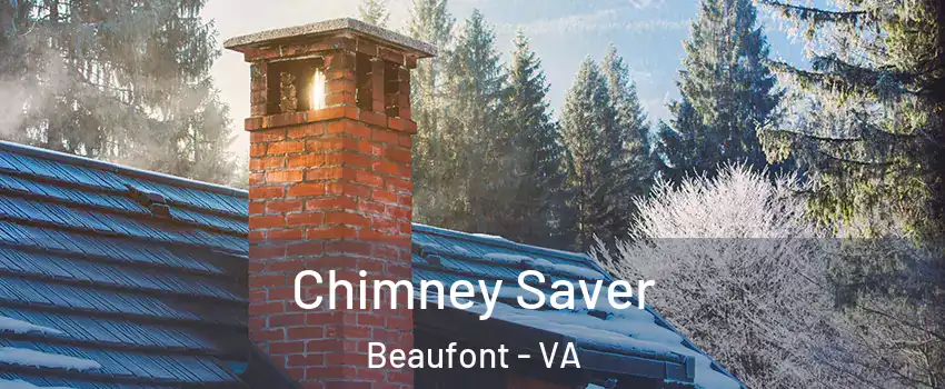 Chimney Saver Beaufont - VA