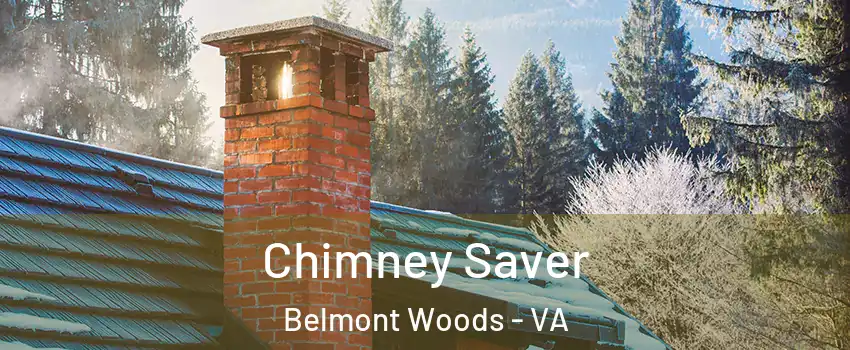 Chimney Saver Belmont Woods - VA