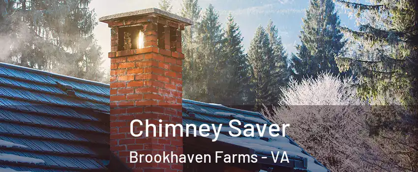 Chimney Saver Brookhaven Farms - VA