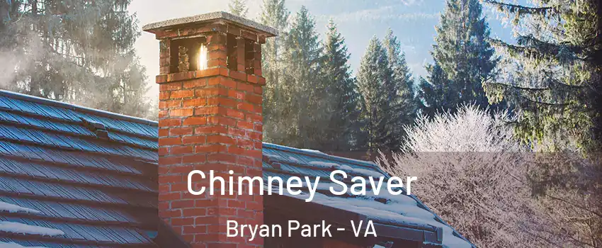 Chimney Saver Bryan Park - VA