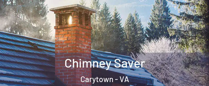 Chimney Saver Carytown - VA