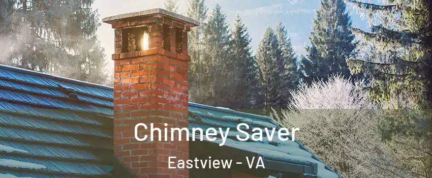 Chimney Saver Eastview - VA