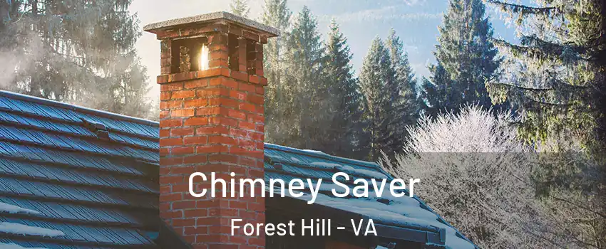 Chimney Saver Forest Hill - VA