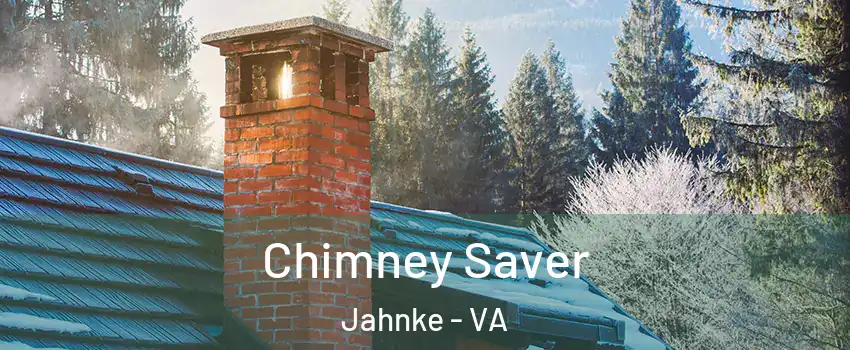 Chimney Saver Jahnke - VA