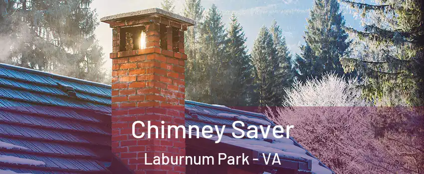 Chimney Saver Laburnum Park - VA