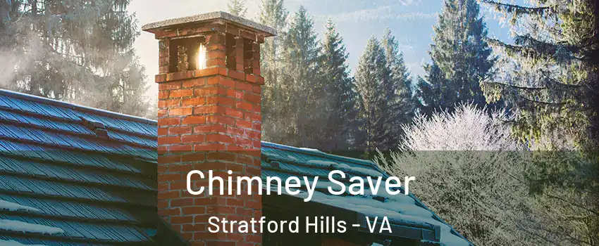 Chimney Saver Stratford Hills - VA