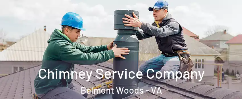 Chimney Service Company Belmont Woods - VA