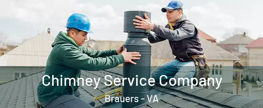 Chimney Service Company Brauers - VA