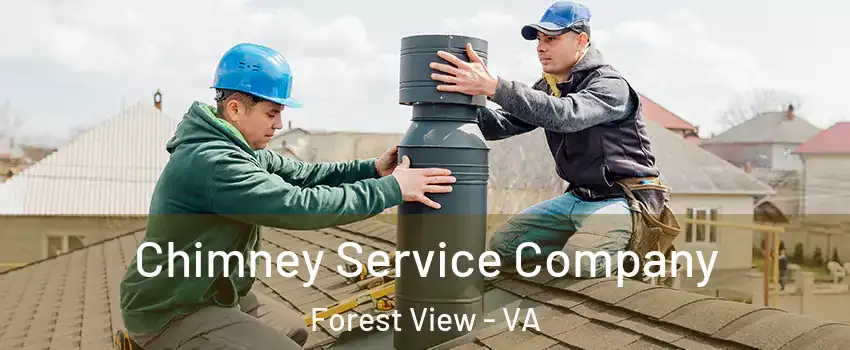 Chimney Service Company Forest View - VA