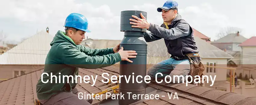 Chimney Service Company Ginter Park Terrace - VA