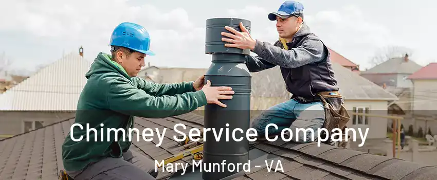 Chimney Service Company Mary Munford - VA