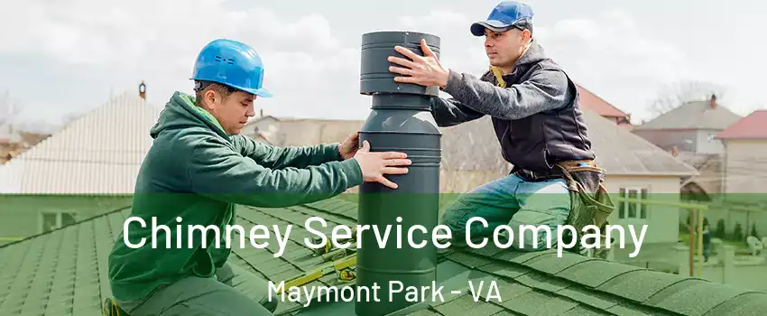 Chimney Service Company Maymont Park - VA