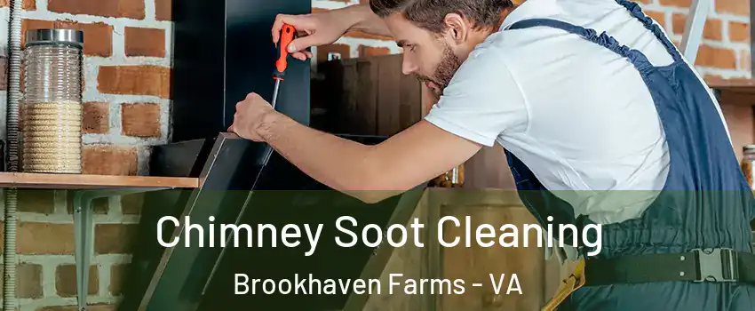 Chimney Soot Cleaning Brookhaven Farms - VA