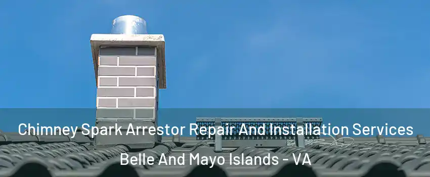 Chimney Spark Arrestor Repair And Installation Services Belle And Mayo Islands - VA