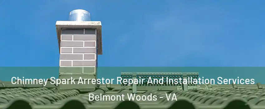 Chimney Spark Arrestor Repair And Installation Services Belmont Woods - VA