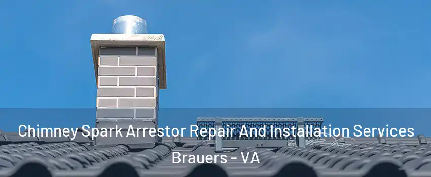 Chimney Spark Arrestor Repair And Installation Services Brauers - VA