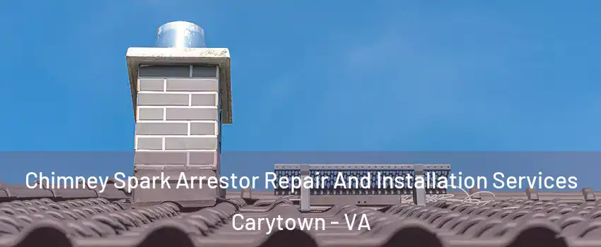 Chimney Spark Arrestor Repair And Installation Services Carytown - VA