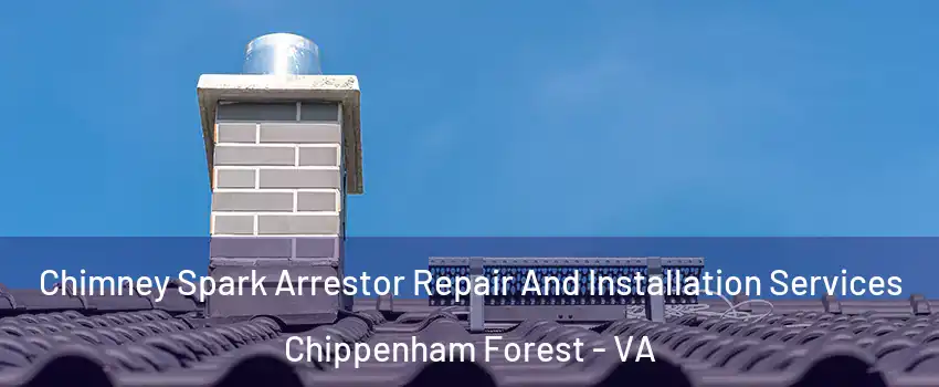 Chimney Spark Arrestor Repair And Installation Services Chippenham Forest - VA