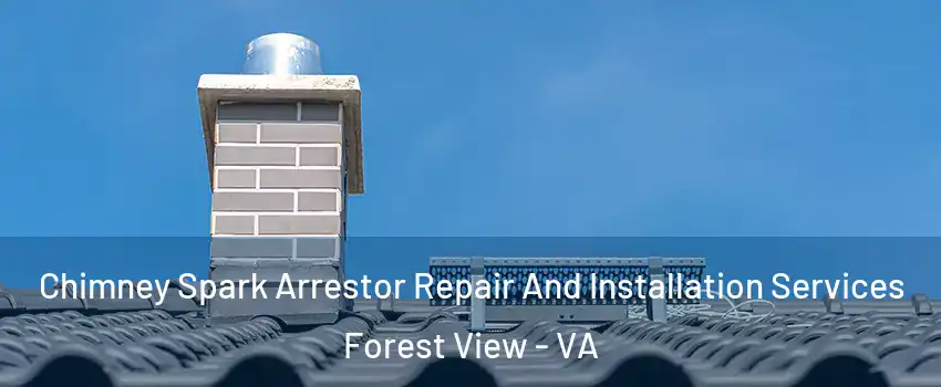 Chimney Spark Arrestor Repair And Installation Services Forest View - VA