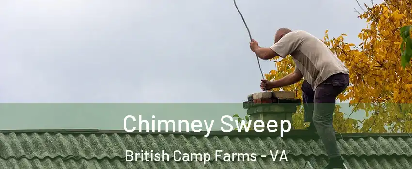 Chimney Sweep British Camp Farms - VA