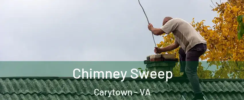 Chimney Sweep Carytown - VA