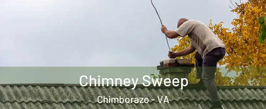 Chimney Sweep Chimborazo - VA