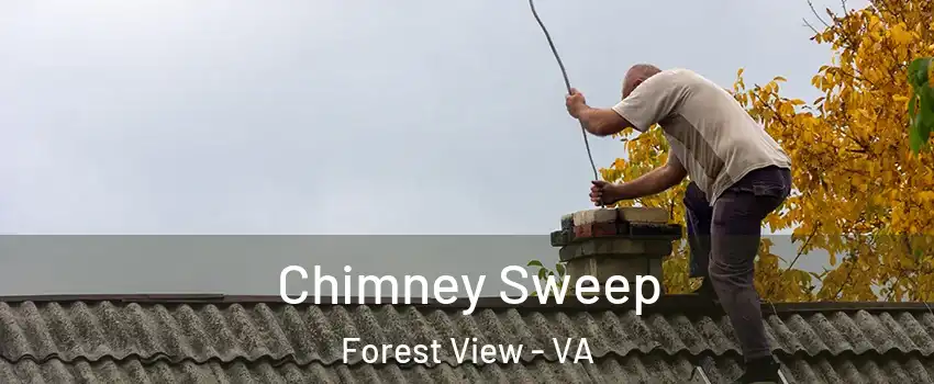 Chimney Sweep Forest View - VA